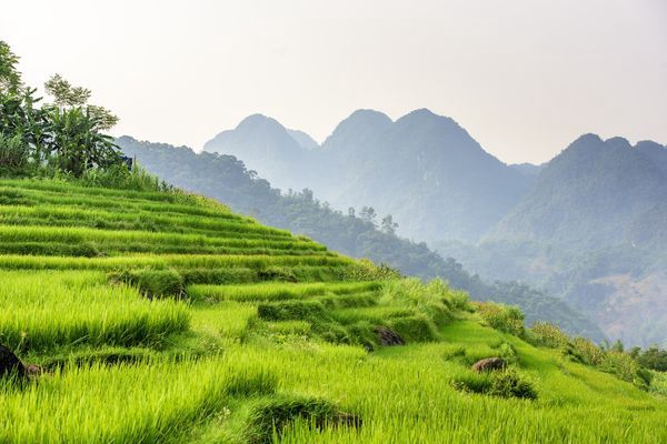 Immersion au Vietnam et Cambodge 17J/14N pas cher photo 12