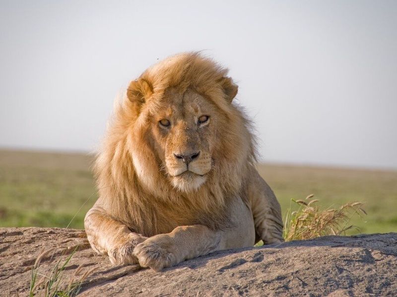 Grand Tour d'Afrique du Sud - 18J/15N pas cher photo 9