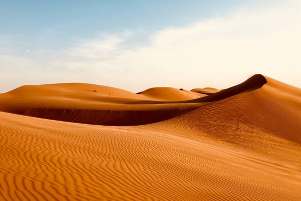 Circuit Parfums d'Oman en Luxe et Privatif pas cher photo 13