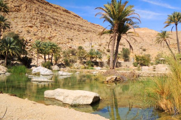 Circuit Parfums d'Oman en Luxe et Privatif pas cher photo 23