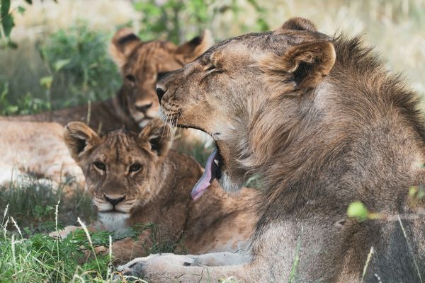Splendeurs de Namibie 12J/09N pas cher photo 6