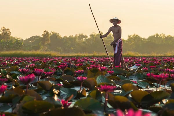 Immersion au Laos et Cambodge 16J/13N pas cher photo 1