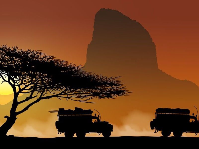 Safari Dream, Chutes Victoria et Parc Chobe pas cher photo 12