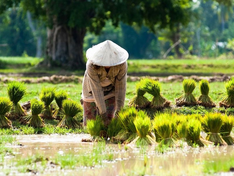 Grand tour d'Indochine : Laos, Cambodge, Vietnam 21J/18N pas cher photo 5