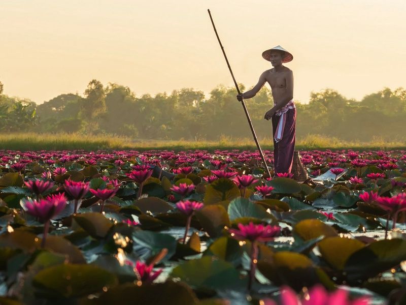 Grand tour d'Indochine : Laos, Cambodge, Vietnam 21J/18N pas cher photo 6