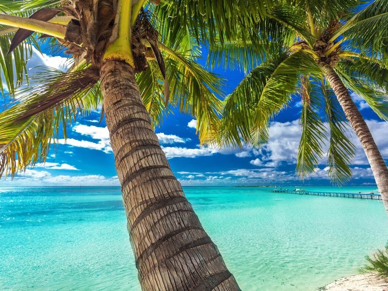 Ouest & Polynésie (Tahiti>Moorea) - 21J/18N - 2026 pas cher photo 2