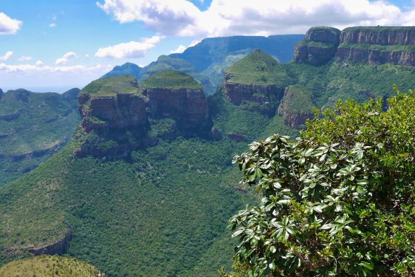 Circuit Des Chutes Victoria au Cap de Bonne Espérance pas cher photo 33
