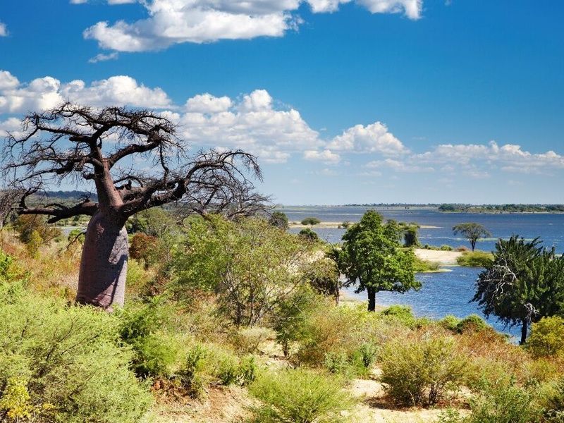 Découvertes Botswanaises 12J/9N pas cher photo 4