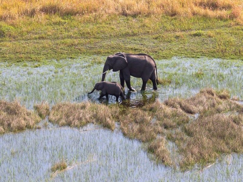 Découvertes Botswanaises 12J/9N pas cher photo 6