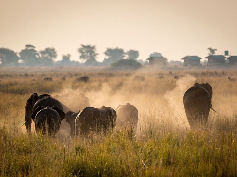 Découvertes Botswanaises 12J/9N pas cher photo 11