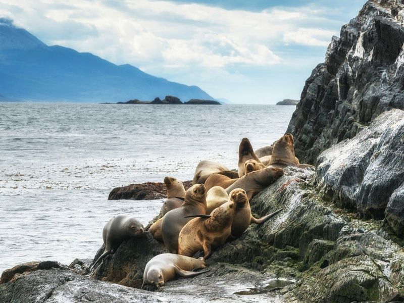 Circuit Découverte de l'Argentine - Prétour Ushuaïa - 13J/11N pas cher photo 1