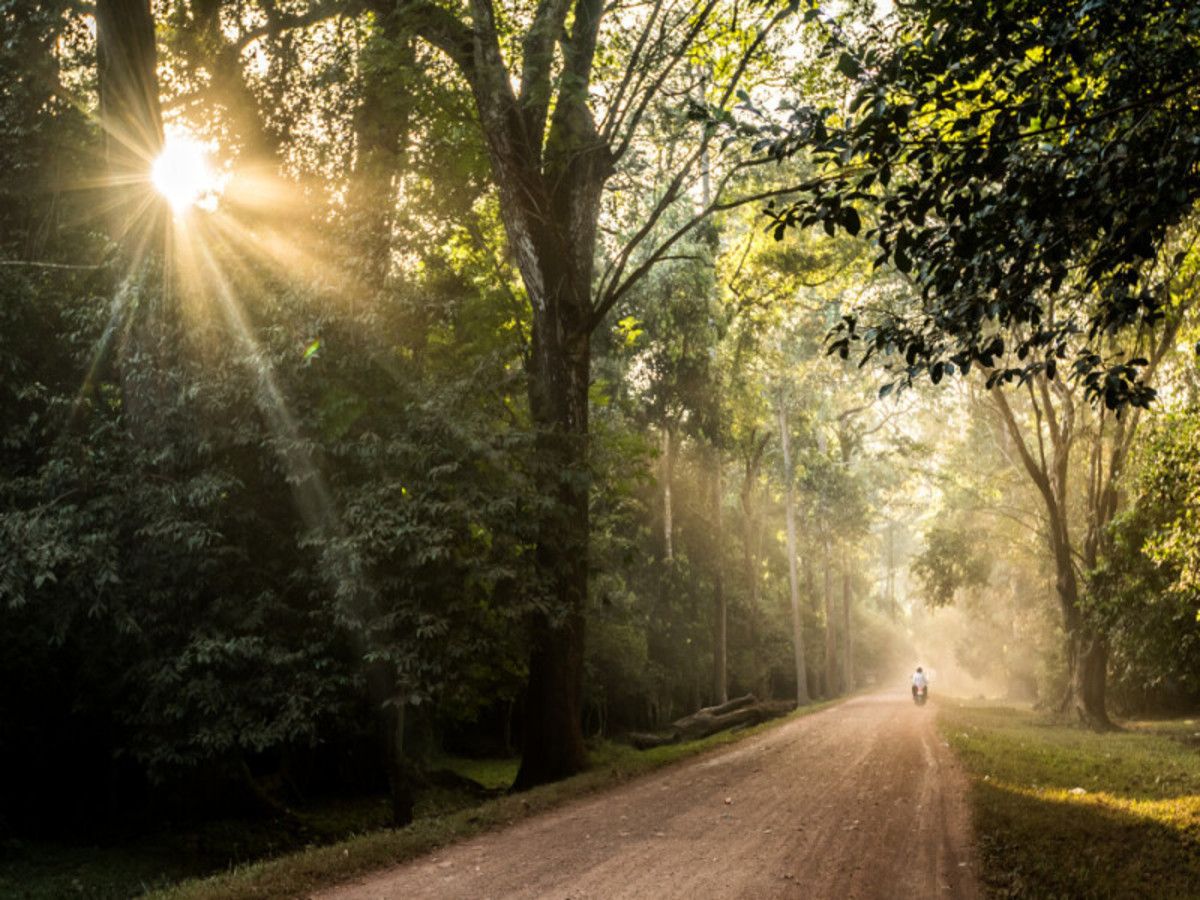 O1. Cambodge à la folie pas cher photo 7