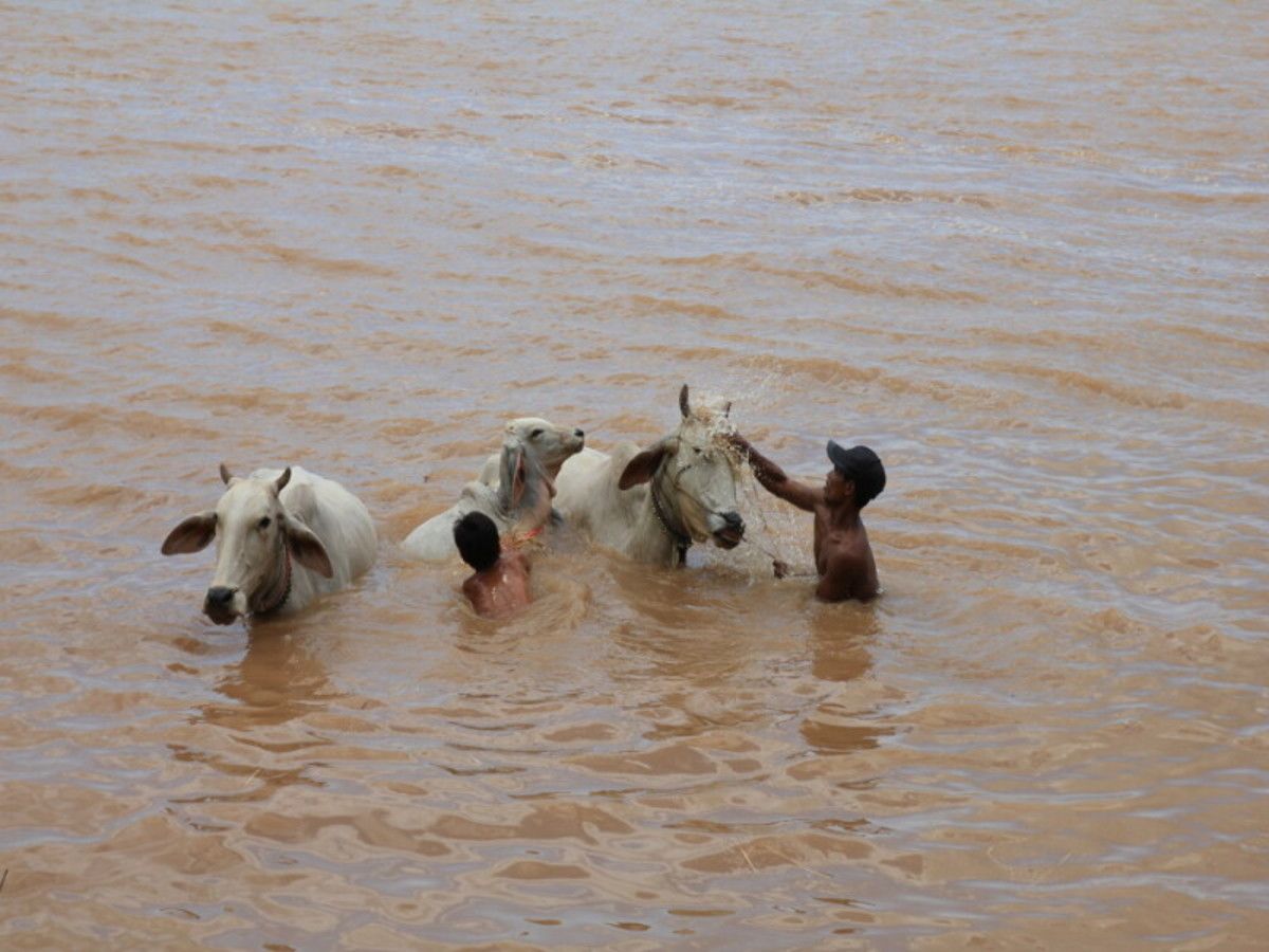 O1. Cambodge à la folie pas cher photo 10