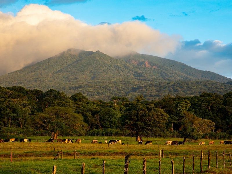 SUR LA ROUTE DU COSTA RICA ET RINCON DE LA VIEJA (Autotour) pas cher photo 1