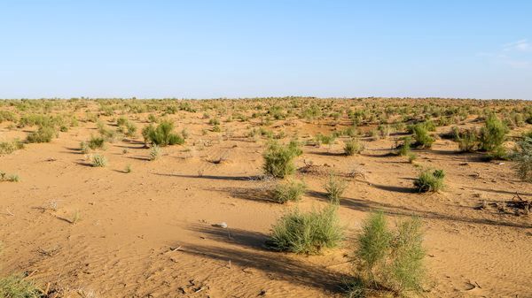 Splendeurs d'Ouzbékistan 12J/10N - 2026 - Limité à 26 pers. - (Flex) pas cher photo 14