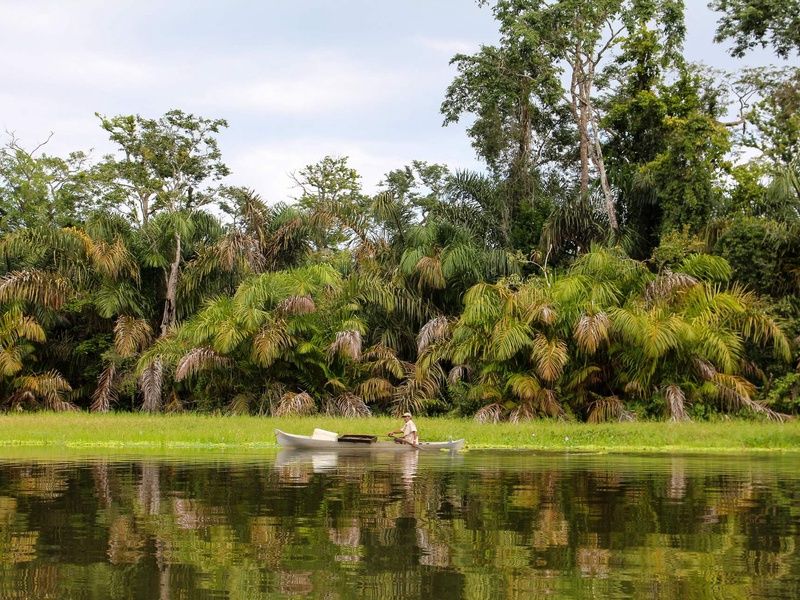 Circuit Trésors du Costa Rica - Prétour Tortuguero - 15J/13N pas cher photo 1