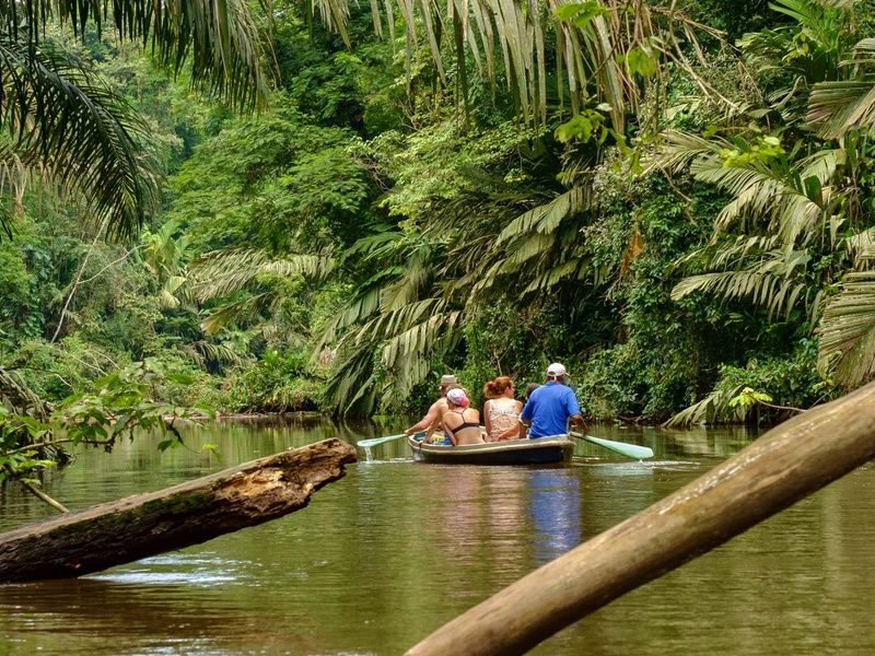 Circuit Trésors du Costa Rica - Prétour Tortuguero - 15J/13N pas cher photo 12