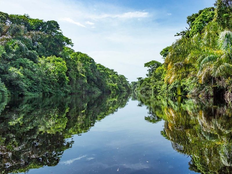 Circuit Trésors du Costa Rica - Prétour Tortuguero - 15J/13N pas cher photo 13