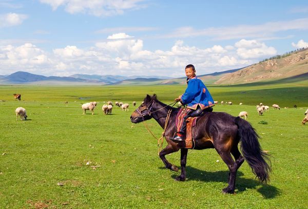 Circuit Immersion en Mongolie - Festival du Naadam - 12J/09N pas cher photo 11