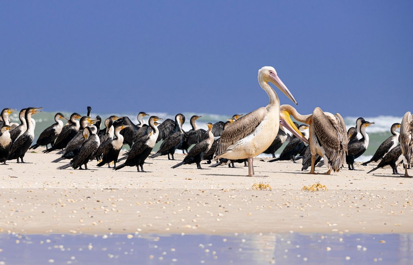 Regard sur le Sénégal authentique 2026 pas cher photo 10