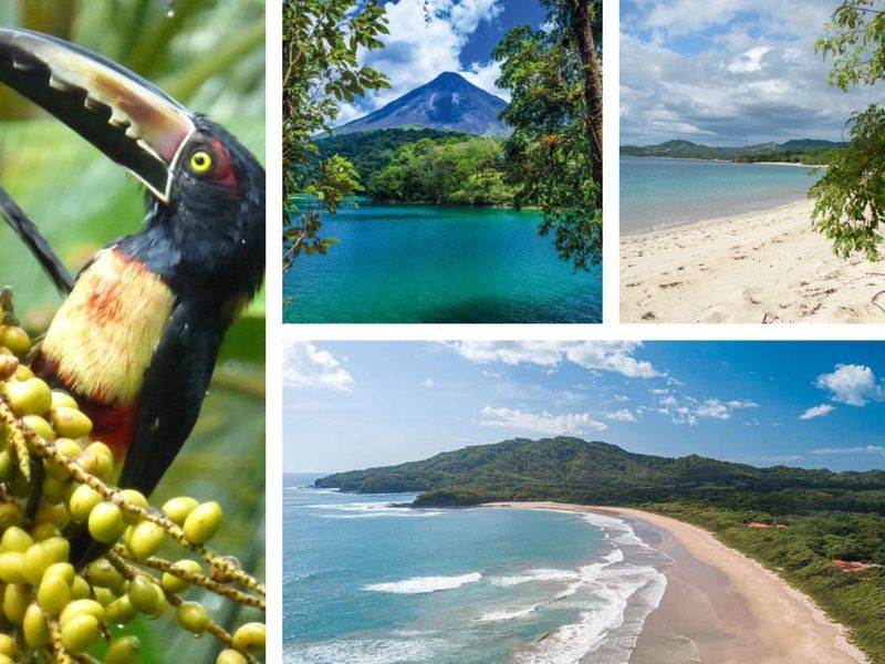 Circuit entre Jungles et Forêts du Costa Rica et extension Playa Tamarindo pas cher photo 1