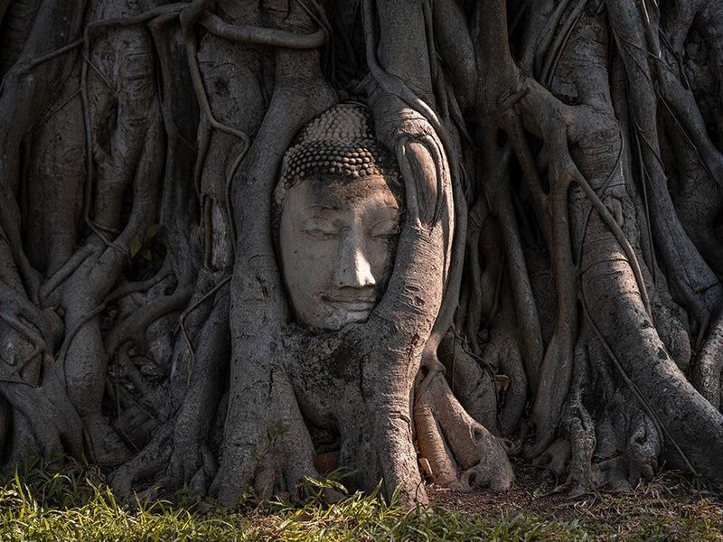 THAÏLANDE | 10j/7n - Circuit "Essence de Thaïlande" - en hôtel 3* et 4* pas cher photo 6