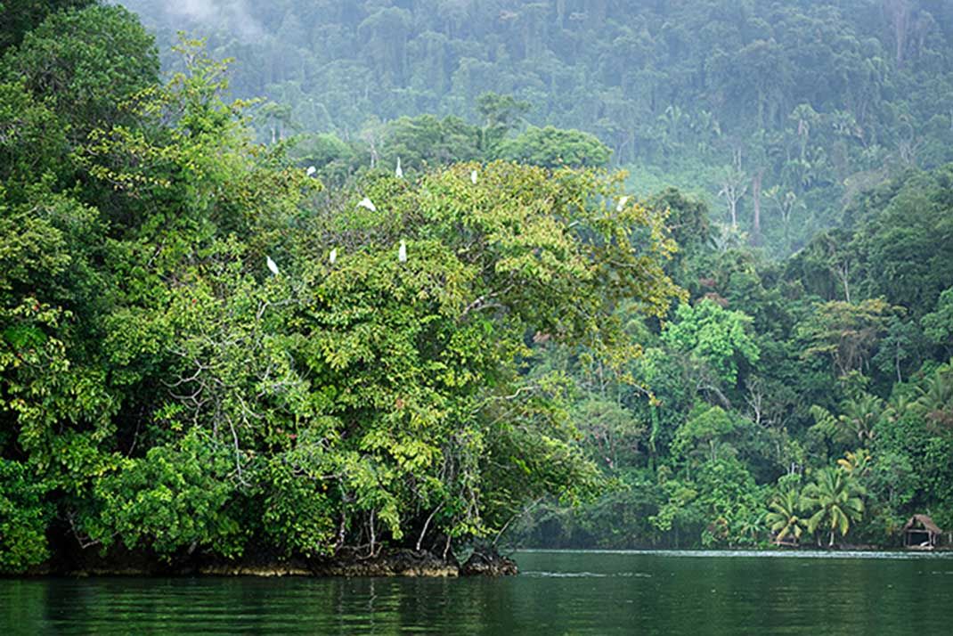 Circuit Regard sur le Guatemala et Honduras pas cher photo 5