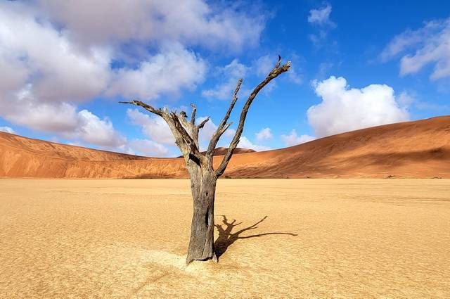 Aventure en Namibie pas cher photo 1