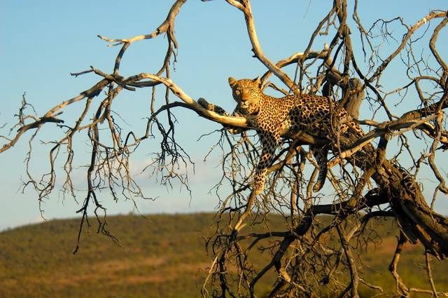Aventure en Namibie pas cher photo 5