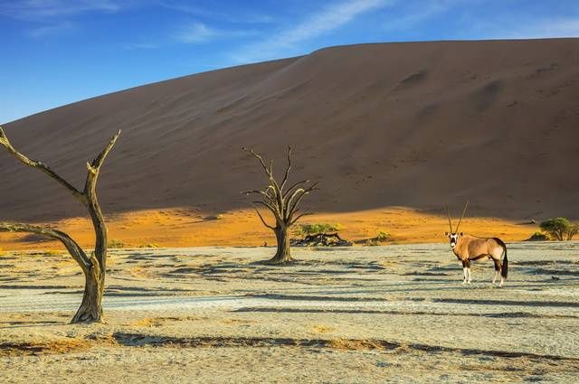 Aventure en Namibie pas cher photo 17