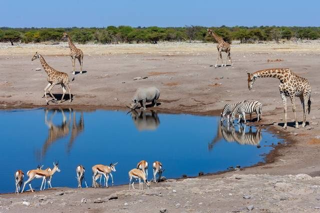 Aventure en Namibie et extension Fish River Canyon pas cher photo 4