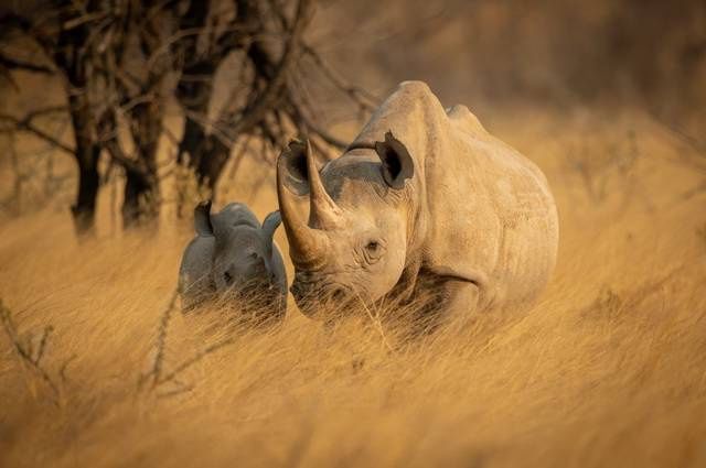 Aventure en Namibie et extension Fish River Canyon pas cher photo 8