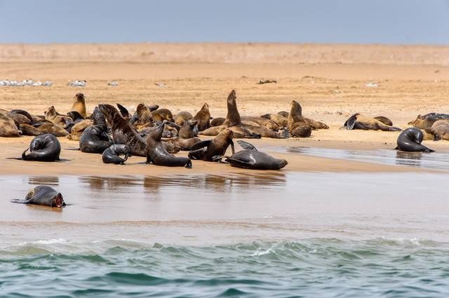 Aventure en Namibie et extension Fish River Canyon pas cher photo 12