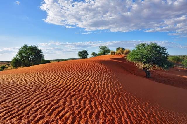 Aventure en Namibie et extension Fish River Canyon pas cher photo 16