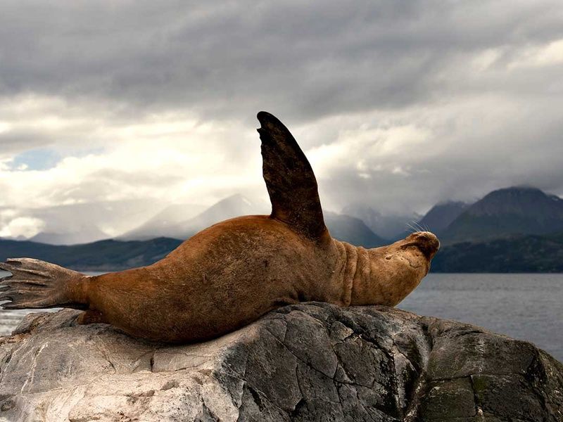 Circuit De l'Argentine au Chili et Extension Île de Pâques pas cher photo 3