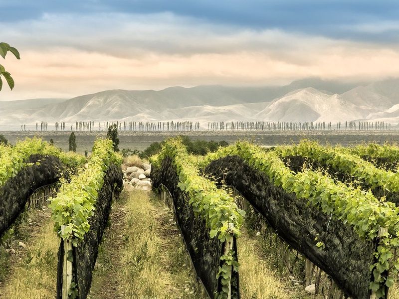 Circuit Rencontres argentines pas cher photo 2