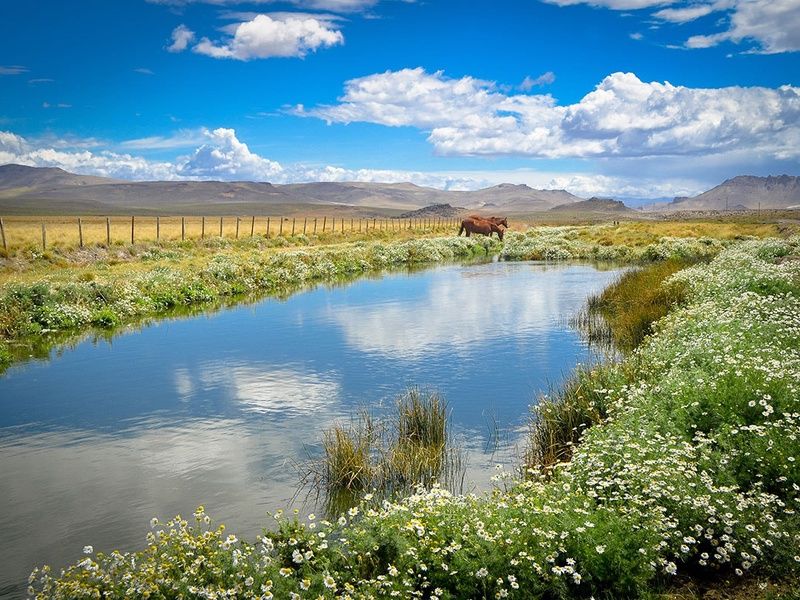 Circuit Rencontres argentines pas cher photo 8