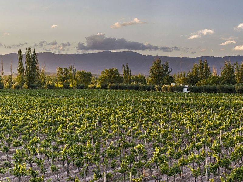 Circuit Rencontres argentines pas cher photo 11