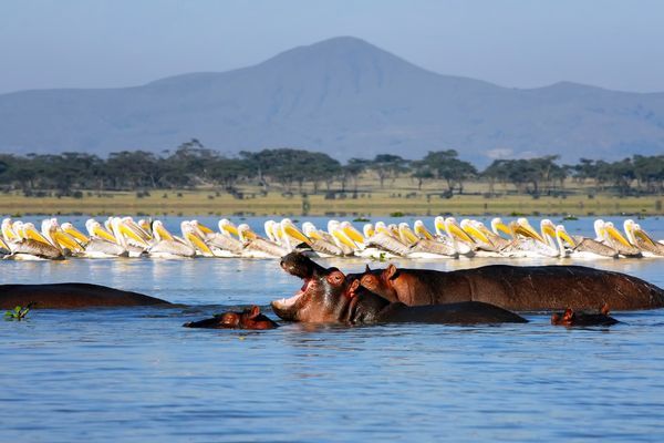 Circuit Merveilles du Kenya Samburu pas cher photo 1