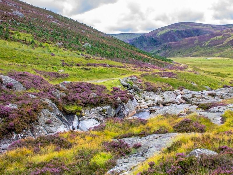 Circuit en Ecosse : Terres Mythiques pas cher photo 6