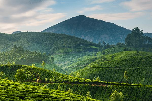 Circuit Des Couleurs de l'Inde du Sud aux légendes de Karnataka pas cher photo 8