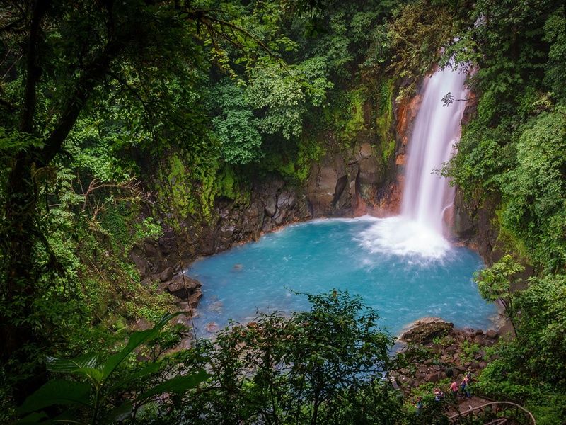 Tentatrice nature 13 jours pas cher photo 8