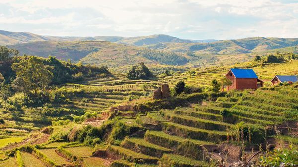 Circuit Splendeurs de Madagascar pas cher photo 6