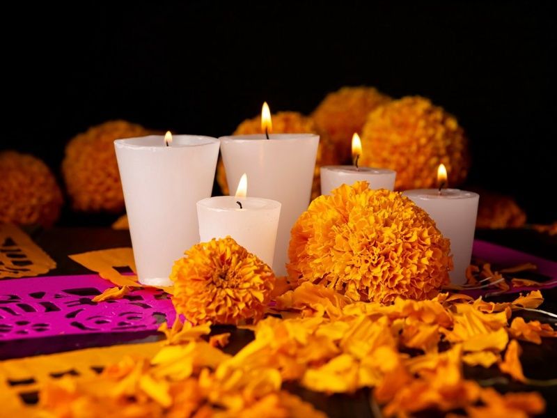 Trésors du Mexique : Dia de los Muertos 12J/10N - Limité à 14 pers pas cher photo 8