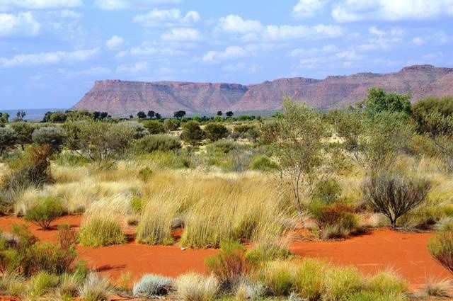 Odyssée Australienne pas cher photo 8