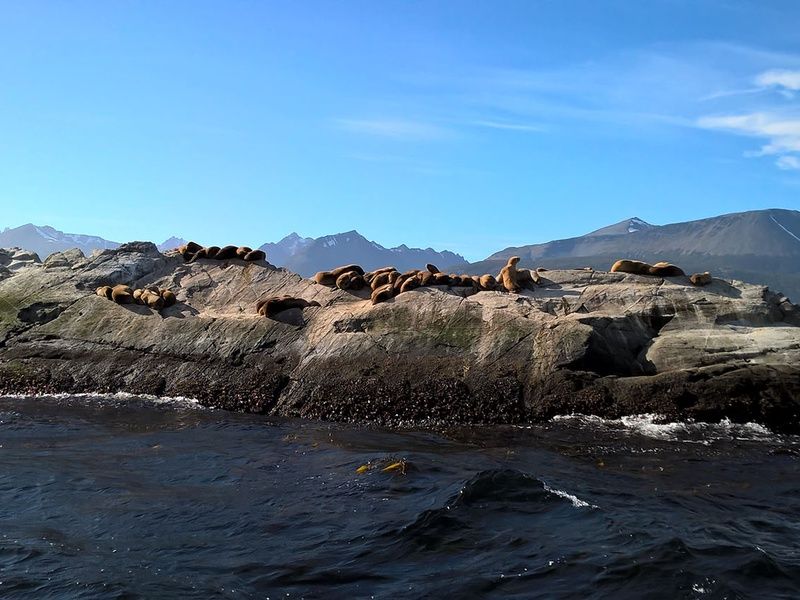 Panorama argentin pas cher photo 10