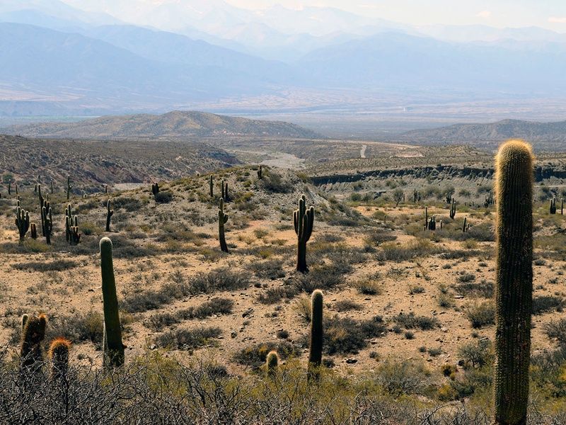 Panorama argentin pas cher photo 15
