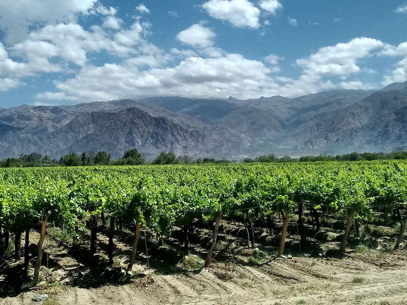 Panorama argentin pas cher photo 16