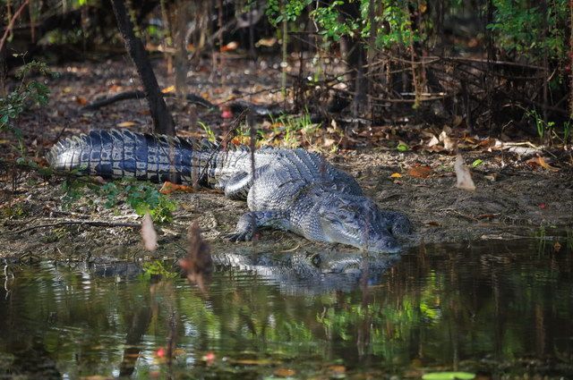 La Grande Traversée de l'Australie pas cher photo 7