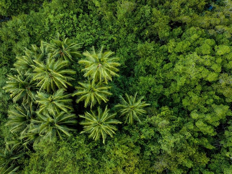 Autotour Entre volcans et forêts, l'âme du Costa Rica pas cher photo 1